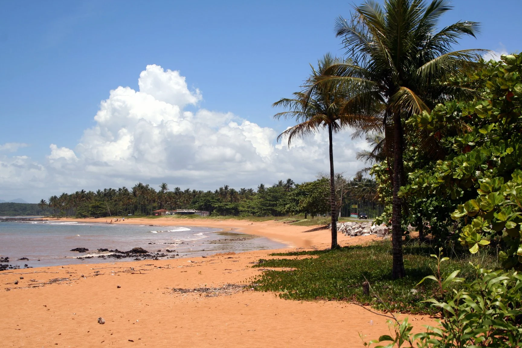 Foto do album Aracruz
